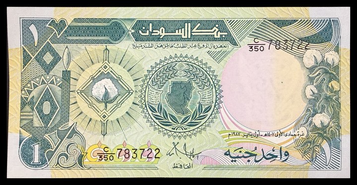 Sudan 25, specimen 516