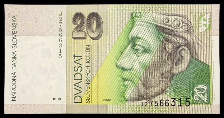 Slovenia 20, specimen 529