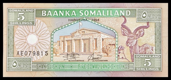 Somaliland 5, specimen 533