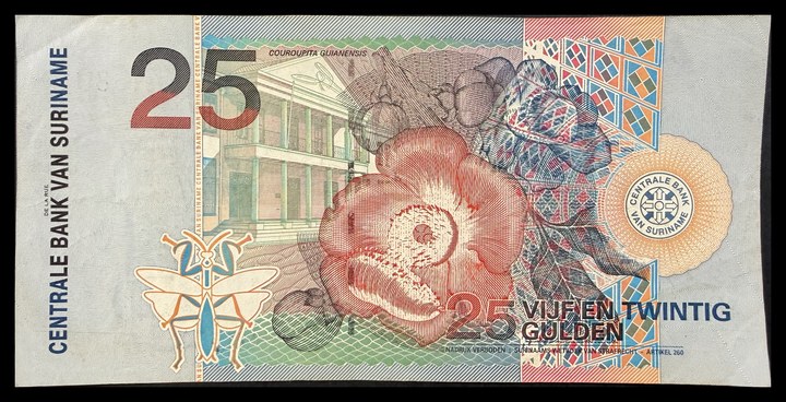 Suriname 10 gulden / 25 gulden, specimen 546