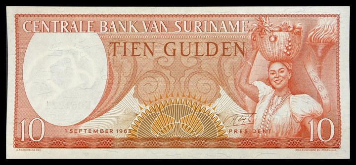 Suriname 25, specimen 547