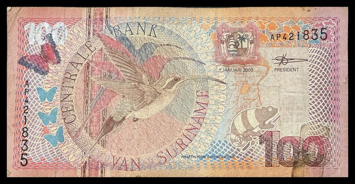 Suriname 10, specimen 551