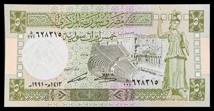 Syria 100, specimen 556