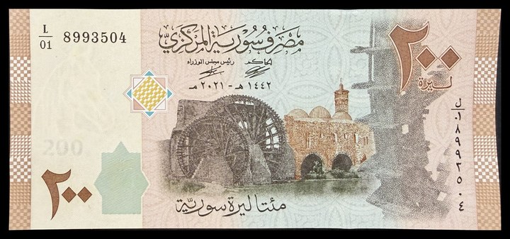 Syria 50, specimen 559