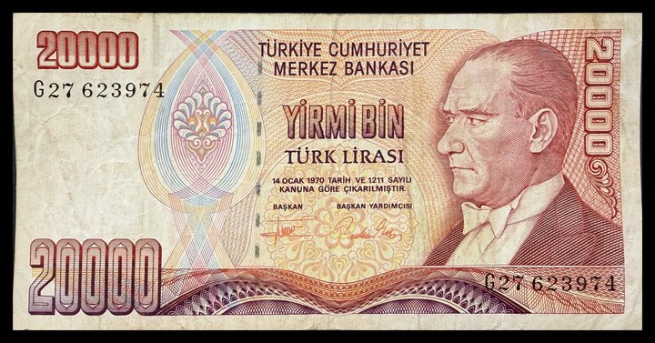 Turkey 20000, specimen 579