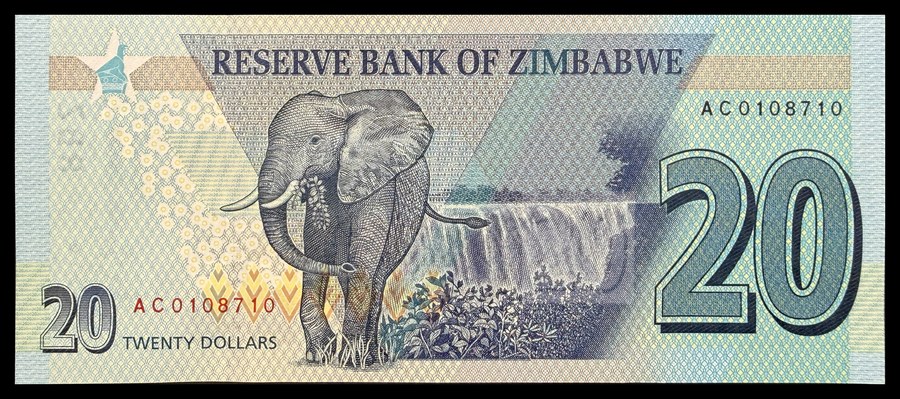 Back