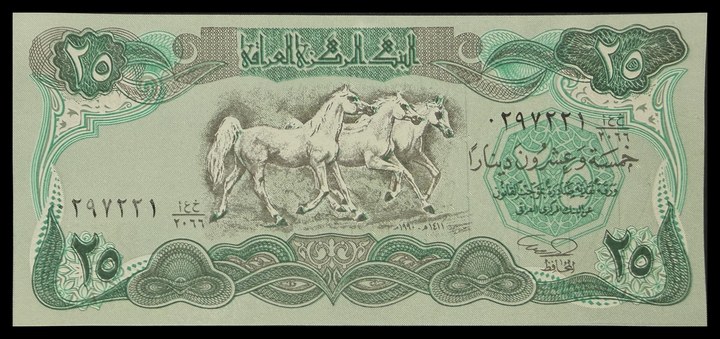 Saudi Arabia 25, specimen 691