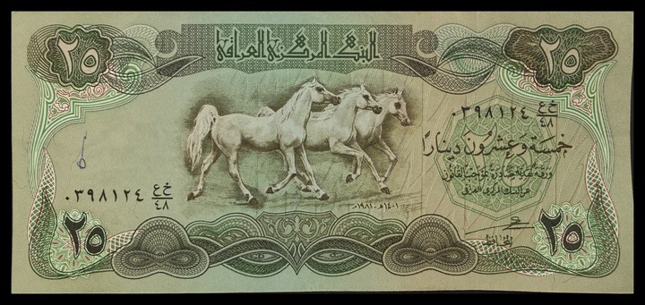 Iraq 5, specimen 697
