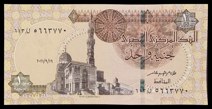 Egypt 1, specimen 181