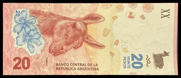 Argentina 20, specimen 21