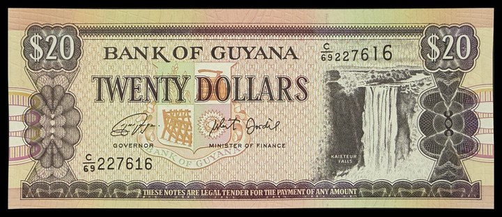 Guyana 20, specimen 265