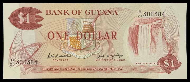 Guyana 1, specimen 267