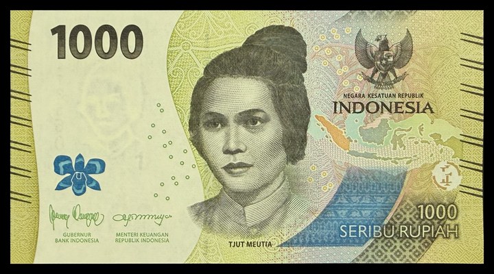 Indonesia 1000, specimen 316