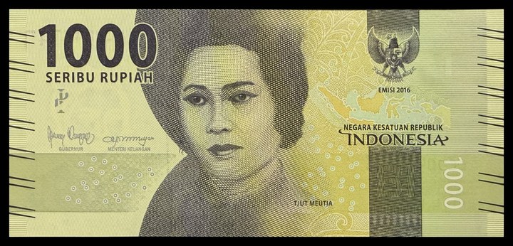 Indonesia 1000, specimen 318