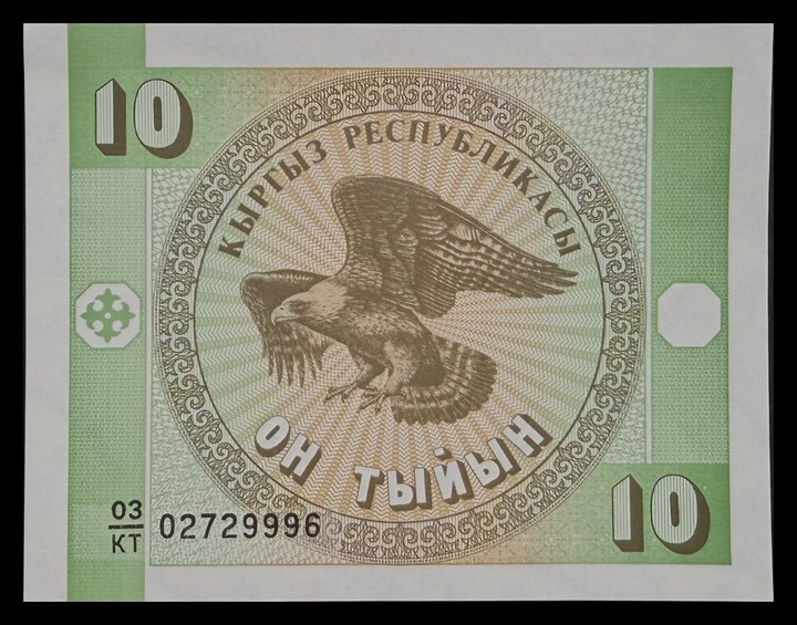 Kyrgyzstan 10, specimen 328