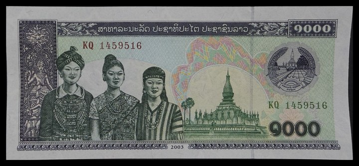 Laos 1000, specimen 331