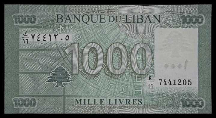 Lebanon 1000, specimen 334