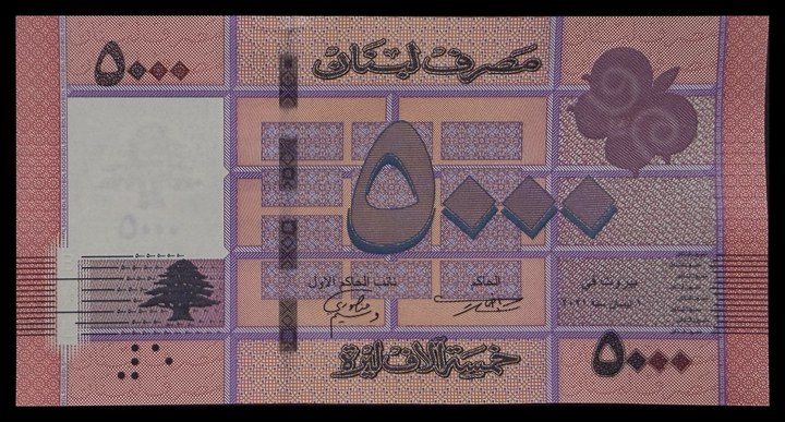 Lebanon 5000, specimen 335