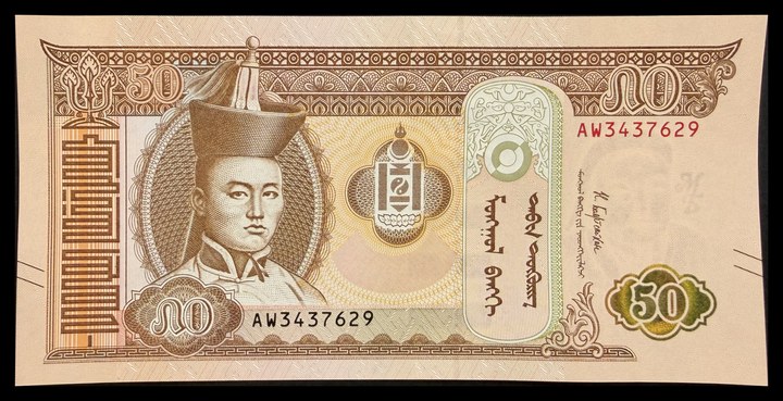 Mongolia 50, specimen 372