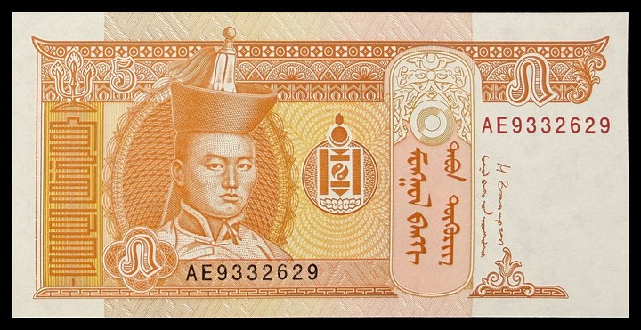 Mongolia 50, specimen 373