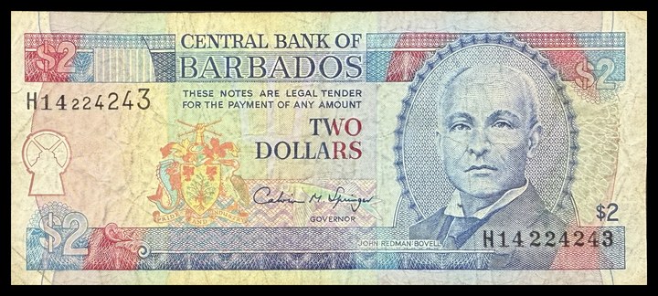 Barbados 2, specimen 38