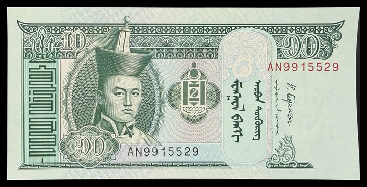 Mongolia 20, specimen 375