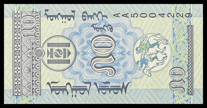 Mongolia 10, specimen 376