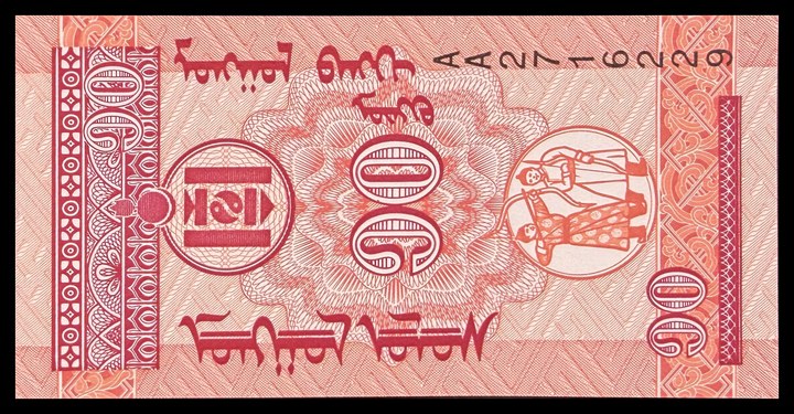 Mongolia 50, specimen 377