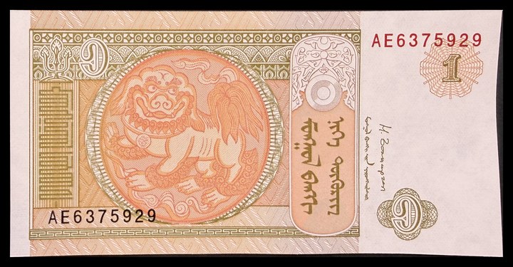 Mongolia 10, specimen 378