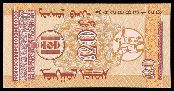 Mongolia 1, specimen 379
