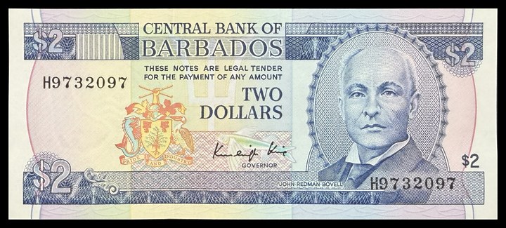 Barbados 2, specimen 39