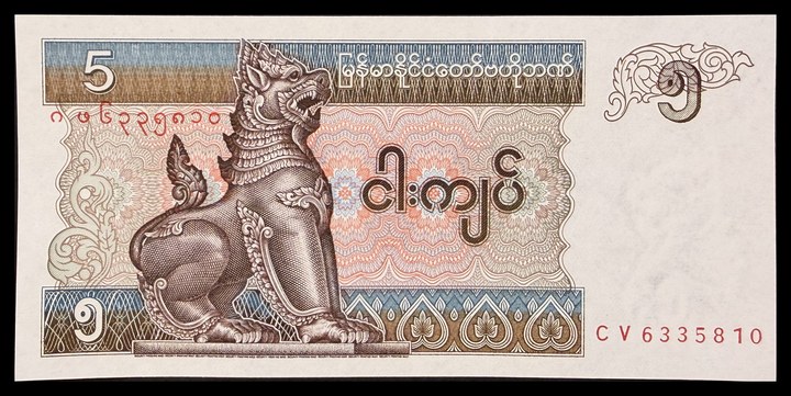Myanmar 1, specimen 396