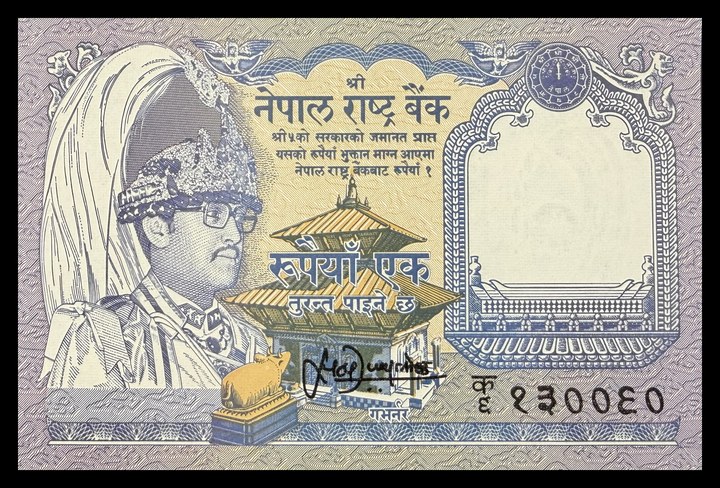 Nepal 1, specimen 406