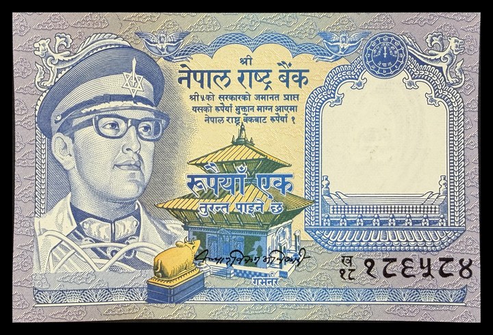 Nepal 1, specimen 407