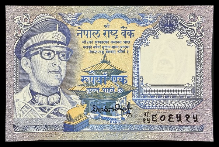 Nepal 1, specimen 408