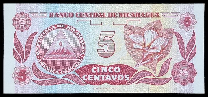 Nicaragua 25 Centavos, specimen 417