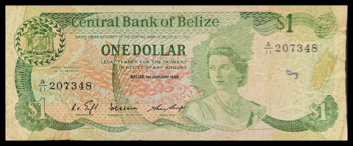 Belize 1, specimen 45
